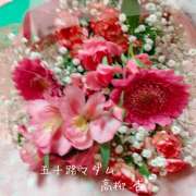 ヒメ日記 2025/08/12 07:04 投稿 高柳杏 五十路マダム愛されたい熟女たち 倉敷店（カサブランカグループ）