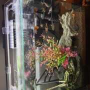 ヒメ日記 2025/06/06 23:40 投稿 ぴの 迷宮の人妻　熊谷・行田発