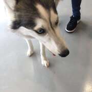 ヒメ日記 2025/06/23 15:59 投稿 ぴの 迷宮の人妻　熊谷・行田発