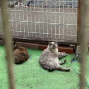 ヒメ日記 2025/09/28 22:19 投稿 ぴの 迷宮の人妻　熊谷・行田発