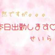 せいら 突然ですが！ 出会い系人妻ネットワーク 春日部〜岩槻編