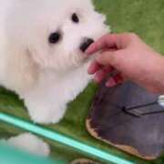 ヒメ日記 2025/06/21 14:24 投稿 ののか Porn HAREM 熊谷店