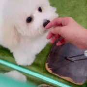 ヒメ日記 2025/08/30 13:44 投稿 ののか Porn HAREM 熊谷店