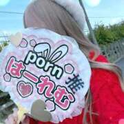ヒメ日記 2025/11/11 20:16 投稿 ののか Porn HAREM 熊谷店