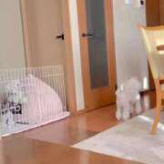 ののか 謹賀新年🎍✨ Porn HAREM 熊谷店