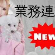 ヒメ日記 2026/01/25 14:52 投稿 ののか Porn HAREM 熊谷店