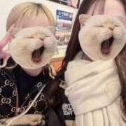 ヒメ日記 2026/01/29 23:44 投稿 ののか Porn HAREM 熊谷店