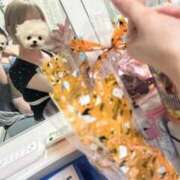 ヒメ日記 2026/09/22 19:14 投稿 ののか Porn HAREM 熊谷店