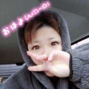 ヒメ日記 2025/03/12 06:41 投稿 ゆずは 水戸人妻花壇