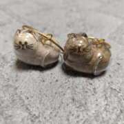 ヒメ日記 2025/08/23 17:03 投稿 ゆずは 水戸人妻花壇