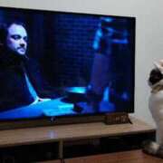 ヒメ日記 2025/09/28 19:13 投稿 ゆずは 水戸人妻花壇