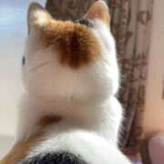 ヒメ日記 2026/01/08 17:32 投稿 ゆずは 水戸人妻花壇