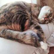 ヒメ日記 2026/01/25 18:12 投稿 ゆずは 水戸人妻花壇