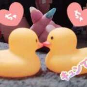 ヒメ日記 2026/03/26 23:52 投稿 ゆずは 水戸人妻花壇