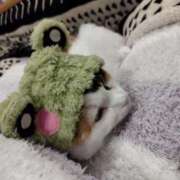 ヒメ日記 2026/03/31 19:25 投稿 ゆずは 水戸人妻花壇