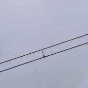 ヒメ日記 2025/09/10 20:57 投稿 うめか 熟女の風俗最終章 宇都宮店