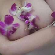 ヒメ日記 2024/12/17 11:36 投稿 池添【いけぞえ】 丸妻 西船橋店