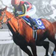 ヒメ日記 2024/12/17 12:08 投稿 池添【いけぞえ】 丸妻 西船橋店