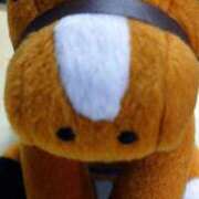 ヒメ日記 2024/12/19 08:00 投稿 池添【いけぞえ】 丸妻 西船橋店