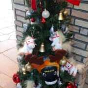 ヒメ日記 2024/12/24 19:16 投稿 池添【いけぞえ】 丸妻 西船橋店