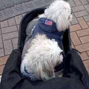 ヒメ日記 2024/12/31 16:59 投稿 池添【いけぞえ】 丸妻 西船橋店