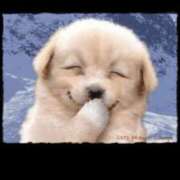 ヒメ日記 2025/01/25 20:42 投稿 池添【いけぞえ】 丸妻 西船橋店