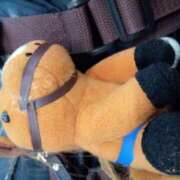 ヒメ日記 2025/01/26 13:29 投稿 池添【いけぞえ】 丸妻 西船橋店