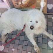 ヒメ日記 2025/02/11 20:10 投稿 池添【いけぞえ】 丸妻 西船橋店