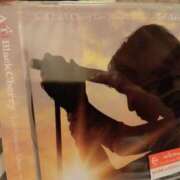 ヒメ日記 2025/03/28 20:14 投稿 池添【いけぞえ】 丸妻 西船橋店