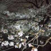 ヒメ日記 2025/04/05 07:37 投稿 池添【いけぞえ】 丸妻 西船橋店