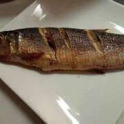 ヒメ日記 2025/04/14 21:01 投稿 池添【いけぞえ】 丸妻 西船橋店