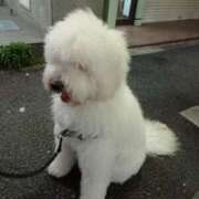 ヒメ日記 2025/05/03 20:49 投稿 池添【いけぞえ】 丸妻 西船橋店