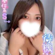 ヒメ日記 2025/11/10 14:42 投稿 ユキネ【FG系列】 デリぽちゃin松戸（FG系列）