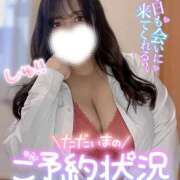 ヒメ日記 2025/12/12 12:30 投稿 ユキネ【FG系列】 デリぽちゃin松戸（FG系列）