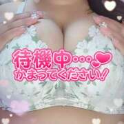 ヒメ日記 2025/12/14 17:26 投稿 ユキネ【FG系列】 デリぽちゃin松戸（FG系列）