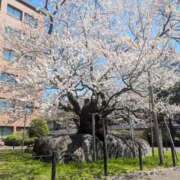 ヒメ日記 2026/04/20 23:26 投稿 あやね サンキュー仙台店