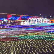 ヒメ日記 2024/12/28 10:48 投稿 ゆづき 風鈴（ふうりん）