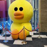 ヒメ日記 2024/12/29 08:50 投稿 ゆづき 風鈴（ふうりん）