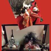 ヒメ日記 2025/02/18 08:17 投稿 ゆづき 風鈴（ふうりん）