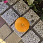 ヒメ日記 2025/02/25 09:56 投稿 ゆづき 風鈴（ふうりん）