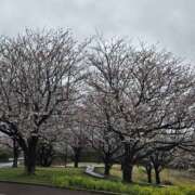 ヒメ日記 2025/04/04 06:37 投稿 ゆづき 風鈴（ふうりん）