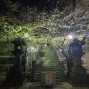 ヒメ日記 2025/04/09 08:15 投稿 ゆづき 風鈴（ふうりん）