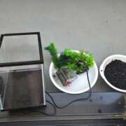 ヒメ日記 2025/04/21 07:21 投稿 ゆづき 風鈴（ふうりん）