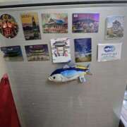 ヒメ日記 2025/04/28 08:19 投稿 ゆづき 風鈴（ふうりん）