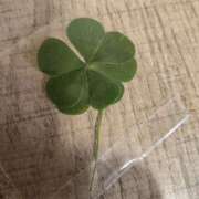 ヒメ日記 2025/05/10 08:38 投稿 ゆづき 風鈴（ふうりん）