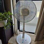 ヒメ日記 2025/05/20 08:48 投稿 ゆづき 風鈴（ふうりん）