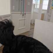 ヒメ日記 2025/06/30 08:50 投稿 ゆづき 風鈴(ふうりん)