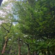 ヒメ日記 2025/08/04 08:30 投稿 ゆづき 風鈴（ふうりん）