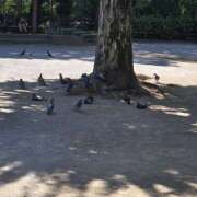 ヒメ日記 2025/08/24 07:31 投稿 ゆづき 風鈴（ふうりん）