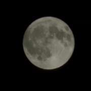 ヒメ日記 2025/09/09 09:04 投稿 ゆづき 風鈴（ふうりん）